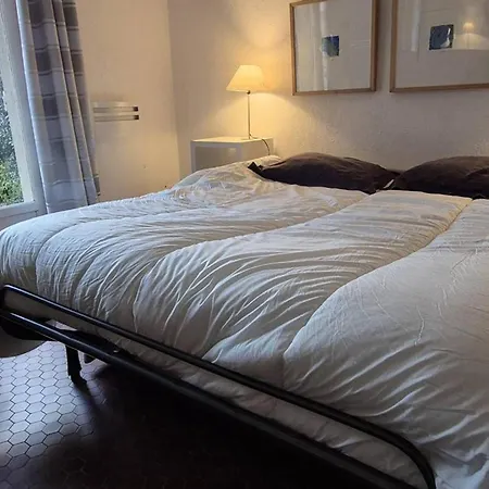 Apartamento à Giens Avec Terrasse, Piscine Et Parking - Fr-1-335-193